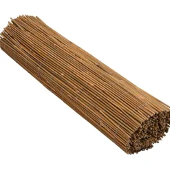 Bambuaita 500x100 cm