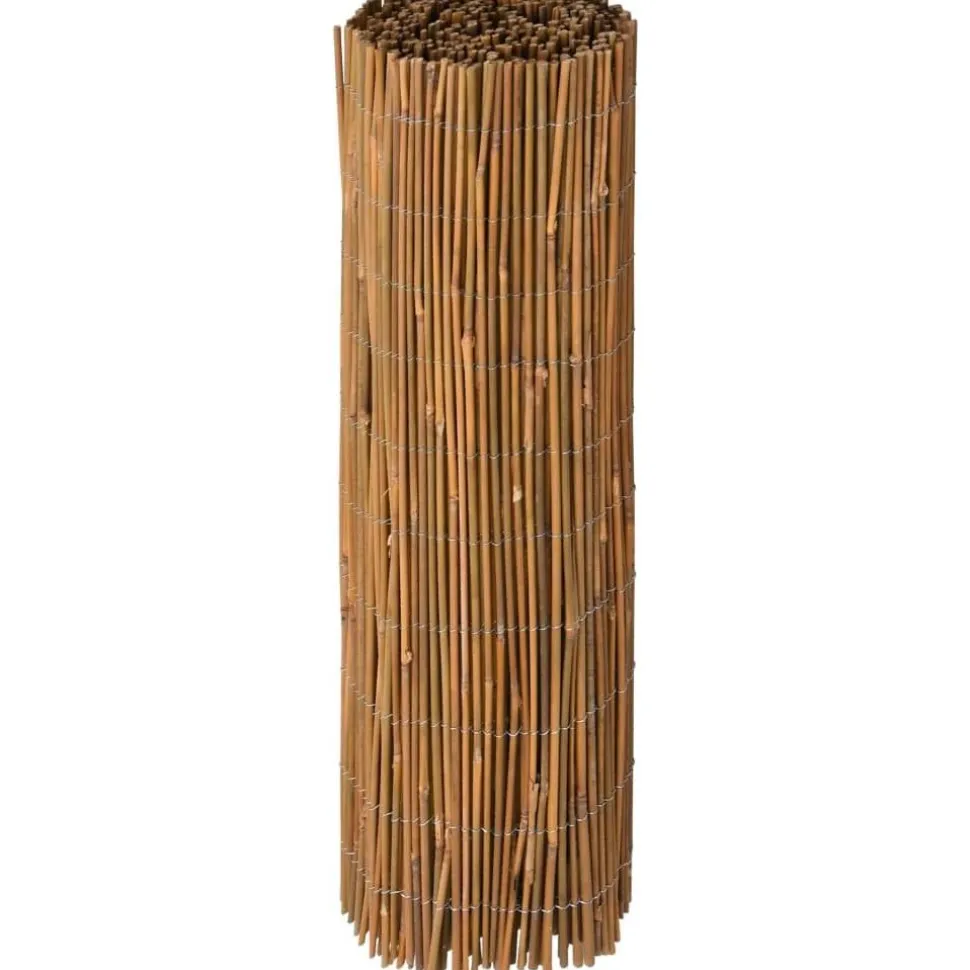 Bambuaita 500x100 cm