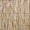 Kaislasermi Home4You IN GARDEN 500x200 cm, beige