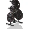 Levypainoteline Gymstick Rack for Olympic Weight Plates