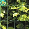 Puutarha-aita Hortus 5x10cm 0,8x25m 0% PVC vihreä