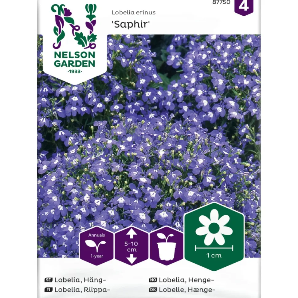 Riippalobelia Nelson Garden Saphir, siemenet