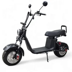 Sähköskootteri E-go Evolution 1000 W musta