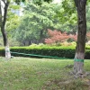 Slackline/tasapainoliina 15mx50mm, 150 kg, vihreä