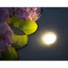 Valaisin Ubbink AquaLight 30 LED